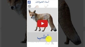 فيديو حول تعليم أسماء الحيوانات1