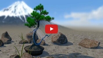 Video about Bonsai 3D Live Wallpaper 1