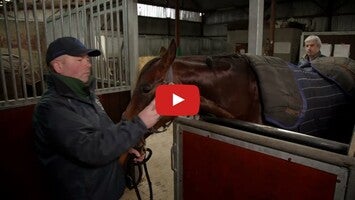 EquiTrace1動画について