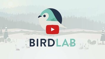 Vidéo de jeu deBirdLab1