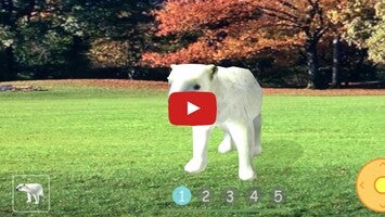 Video tentang Animal Camera 3D 1