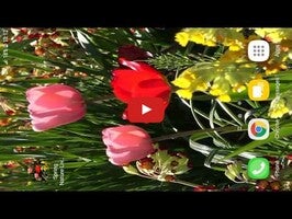Video tentang Spring Nature Live Wallpaper 1