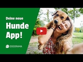 Dogorama – The Dog Community1動画について