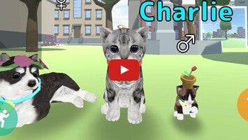 Gameplay video of Cat Simulator Online 1