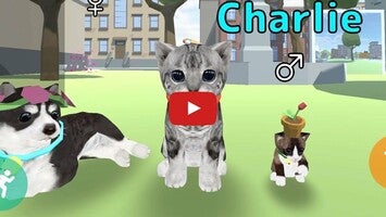 Gameplayvideo von Cat Simulator Online 1