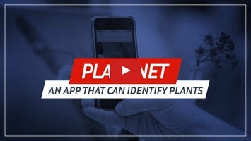 Video about PlantNet Plant Identification 1