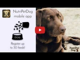 Video über NutriPetDog, dog nutrition 1