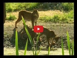 Erlebniswelt1 hakkında video