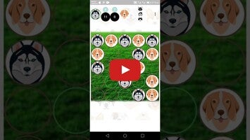 Gameplay video of sega24dogs 1