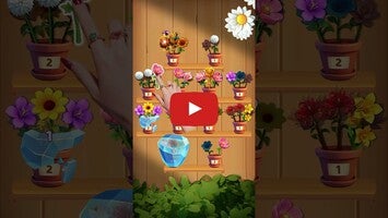 Видео игры Blossom Bliss 1