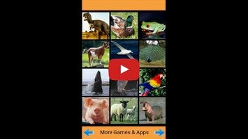 Gameplay video of zooSoundBoard 1