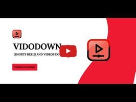 关于vidodown1的视频