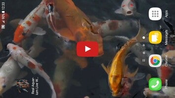 Vidéo au sujet deReal Aquarium Live Wallpaper1
