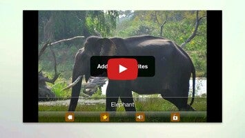 طريقة لعب الفيديو الخاصة ب حديقة حيوان الاطفال، أصوات وصور الحيوانات1