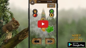 Vidéo de jeu deSort the Forest1