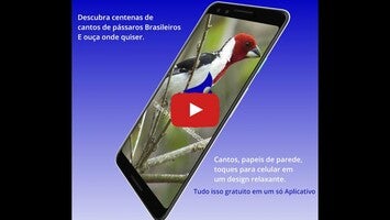 关于Brazilian's birds sounds1的视频