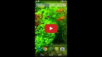 Real Aquarium 3D Wallpaper1 hakkında video