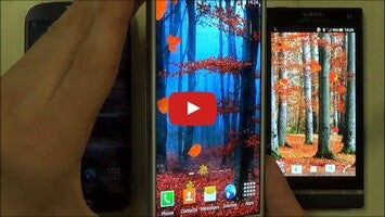 Video tentang Autumn Leaf Fall Wallpaper 1