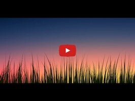 Vídeo sobre Grass Live Wallpaper 1