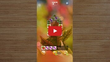 Video del gameplay di Zen Life 1