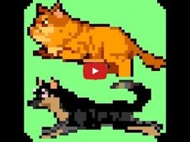Cat and Dog Run1動画について