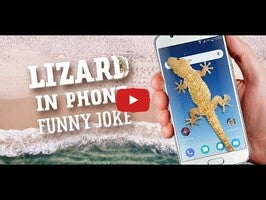 Video about Lizard in phone 1