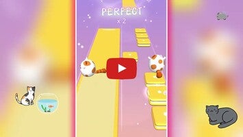 Vídeo-gameplay de Dancing Cats: Duet Meow 1