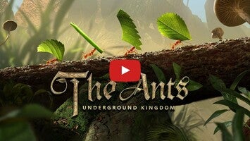 The Ants1的玩法讲解视频