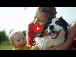 Видео про SAFE-ANIMAL 1