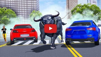 Video del gameplay di Bull Fighting Game: Bull Games 1