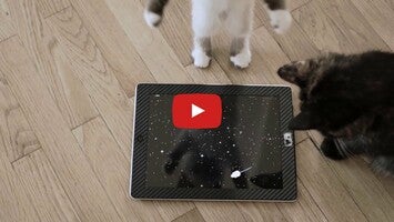 Video gameplay PawMe Lite 1