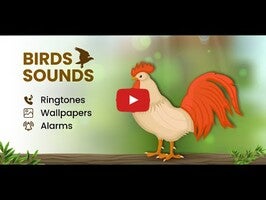فيديو حول Animal Ringtones & wallpapers1