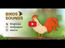 Vídeo sobre Animal Ringtones & wallpapers 1