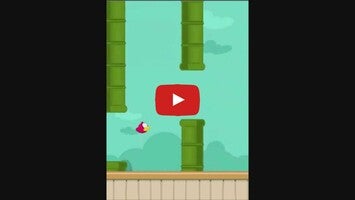 Video gameplay Flap The Bird 1