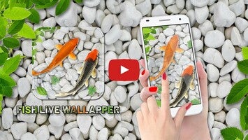 Video über Fish Live Wallpaper Aquarium 1