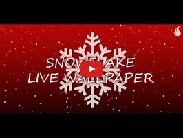 Video über Schneeflocke 1