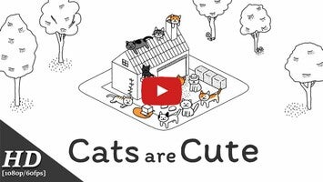 Vidéo de jeu deCats are Cute1