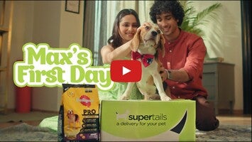 Video về Supertails: Online Pet Shop1