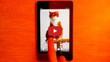 Vídeo sobre Live HD Cat Wallpaper 1