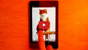 Vidéo au sujet deHD live wallpaper de chat1