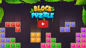 Block Puzzle1'ın oynanış videosu