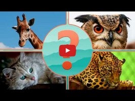 Gameplay video of Guess Animal 1