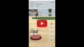 Vídeo de gameplay de Cat Simulation Game 3D 1