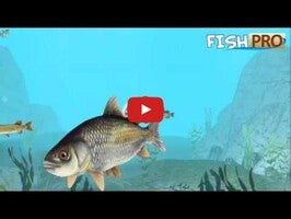 Video gameplay FishPro 1
