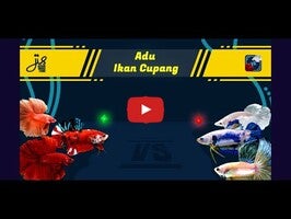 วิดีโอการเล่นเกมของ Adu Ikan Cupang 1