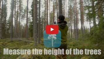 Video about Arboreal - Height of Tree 1