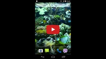 Video über Aquarium Video Live Wallpaper 1