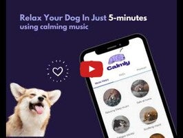 Vídeo sobre Calmly - Dog Sleep music 1