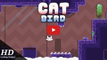 Vidéo de jeu deCat Bird1