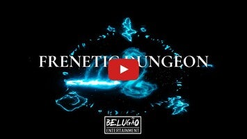 Video gameplay Frenetic Dungeon 1